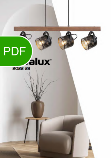 Poza cu Catalog Rabalux